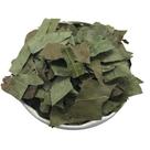 Eucalipto Globulus 250g (Erva Desidratada)