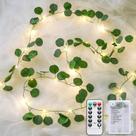 Eucalyptus Vine Fairy Lights JMEXSUSS 33 pés 100 LED com controle remoto