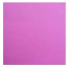 EVA 40x60cm C/10FLS Pink Make+