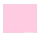 Eva Liso 40x60 Rosa Bebe - LEOARTE