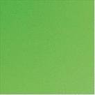 Eva make+ 60x40 verde grama - pt c/ 10 un.