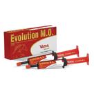 Evolution Vansil Modificador Orgânico Suplemento Equino Pasta 40g - Embalagem com 2 Unidades