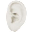 Expositor Orelha de Silicone Esquerda para Brincos ou Piercings