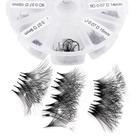 Extensões de cílios WENDY LASHES Volume 8D 0,07 mm 9-16 mm 500 unidades Extensões de cílios WENDY LASHES Volume 8D 0,07 mm 9-16 mm 500 unidades