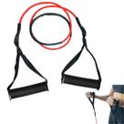 Extensor Elástico Resistente Com Alça Para Exercícios De Academia Ginástica Corda Faixa Elástica Leve Médio Forte Treino Em Casa