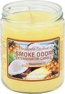 Exterminador de odor de fumaça de vela de abacaxi e coco 380 mL Exterminador de odor de fumaça de vela de abacaxi e coco 380 mL