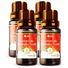 Extrato de Espinheira Santa - Contém 30ml - kit com 4