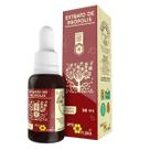 Extrato de Própolis Apis Flora Solução Gotas 30ml