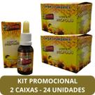 Extrato de Própolis Farmel Gota 30ml - Kit Promocional 24 Unidades Extrato de Própolis Farmel Gota 30ml - Kit Promocional 24 Unidades