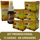 Extrato de Própolis Farmel Gota 30ml - Kit Promocional 60 Unidades Extrato de Própolis Farmel Gota 30ml - Kit Promocional 60 Unidades