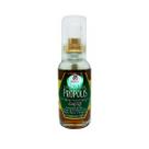 Extrato de Própolis Spray Mel + Menta + Malva + Gengibre 30ml Apis Vida