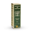 Extrato de Própolis Verde - 30ml - ApisFlora