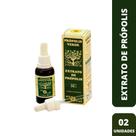 Extrato de Própolis Verde 30ML (C/02) - Apis Flora