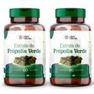 Extrato de Própolis Verde 500mg 60 Cápsulas Puro, Natural e Rico em Compostos Fenólicos