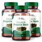 Extrato de Própolis Verde 500mg 60 Cápsulas Puro, Natural e Rico em Compostos Fenólicos Extrato de Própolis Verde 500mg 60 Cápsulas Puro, Natural e Rico em Compostos Fenólicos