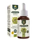 Extrato de Própolis Verde sem álcool 30ml 11% extrato seco