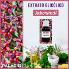 Extrato Glicólico de Jaborandi - 100 ml Extrato Glicólico de Jaborandi - 100 ml
