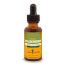 Extrato líquido Herb Pharm Bladderwrack 30mL (DBLADD01)