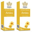 Extrato Oleoso de Arnica 30ml Gabea Kit 2 Und