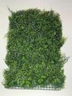 F. Grama placa plt (verde) - 40x60 cm - D&A Decor e ambientes Ltda