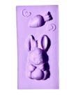 F1785 molde de silicone páscoa confeitaria biscuit