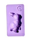 F1787 molde de silicone páscoa confeitaria biscuit