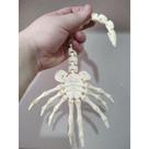 Facehugger Articulado - Impressão 3D