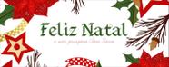 Faixa Banner em Lona Feliz Natal e Um Próspero Ano Novo - 200x080cm