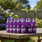 fanta uva 200ml com 12 unidades
