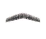 Fantasia Bigode Postiço Falso Preto + Cola