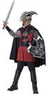 Fantasia California Costumes Dragon Rider Child Large 10-12