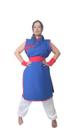 Fantasia Cosplay Goku Chichi feminina adulto chi chi Fantasia Cosplay Goku Chichi feminina adulto chi chi