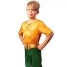 Fantasia dc aquaman g bbra