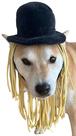 Fantasia de cachorro ComfyCamper Top Hat com peruca de cabelo de lã para XXS-XXL