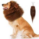 Fantasia de cachorro NEWBEA Lion Mane para cães de médio a grande porte
