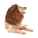 Fantasia De Cão Com Peruca De Leão Realista Para Cães De Médio a Grande Porte, Acessórios Para Fantasia De Cão Com Peruca De Leão Realista Para Cães De Médio a Grande Porte, Acessórios Para