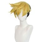 Fantasia de festa de anime Wig Trigun Stampedes Vash Stampedes