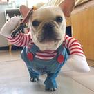 Fantasia De Halloween Para Cães Ajustável E Engraçada Para Festas, Roupa Para Cães E Gatos De