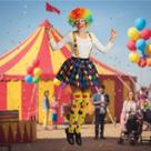 Fantasia De Palhaça C/ Saia 40 Cm Suspensório Peruca e Meias 4pçs Circo Festas