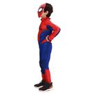 Fantasia Infantil Premium Homem Aranha com Máscara Roupa Longa Tamanho:P Fantasia Infantil Premium Homem Aranha com Máscara Roupa Longa Tamanho:P