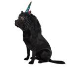 Fantasia Onmygogo Funny Reindeer Moose para cães, Halloween, tamanho M