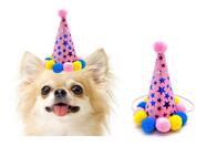 Fantasia Para Cachorro Chapéu de Aniversário Festa Para Pets Cães Gato Pequeno Porte