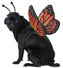 Fantasia para cães California Costumes Monarch Butterfly XS Fantasia para cães California Costumes Monarch Butterfly XS