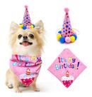 Fantasia Pet Kit aniversário Chapéu Cone + Bandana para cães Cachorros Pequenos Médios e Grandes