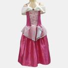Fantasia Princesa Aurora (Bela Adormecia) 1 ao 12 Anos