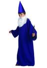 Fantasia RG Costumes Wizard, tamanho médio
