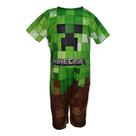 Fantasia Roupa Infantil Minecraft