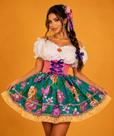 Fantasia Vestido Caipira Feminino Adulto Festa Junina de Luxo