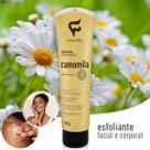 Fashion Esfoliante Facial e Corporal 150g Fashion Esfoliante Facial e Corporal 150g