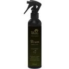 Fast Shower Banho a Seco para Cães e Gatos Pet Society 240 mL Fast Shower Banho a Seco para Cães e Gatos Pet Society 240 mL